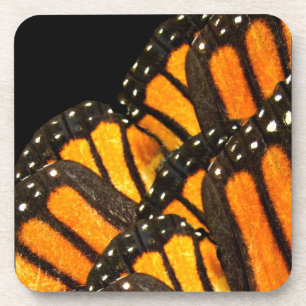coaster monarch butterfly wings on black