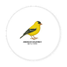 Coaster Set