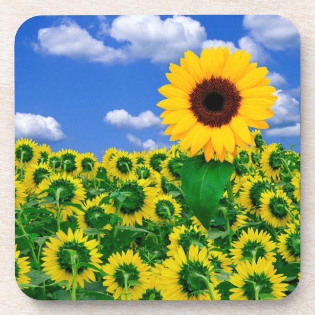 Coaster Set-Sunflowers (Front)