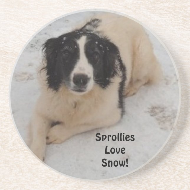 Coaster Sprollie In The Snow (Front)