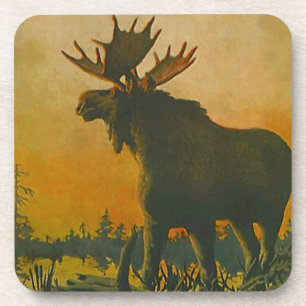 Coaster Wildlife Moose Sunset Swamp Donkey Marsh