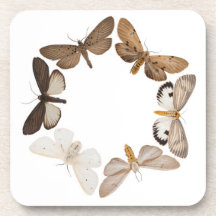 Coaster with butterfly ring
