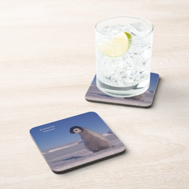 Coasters "Greetings from Antarctica! photo of baby (Right Side)