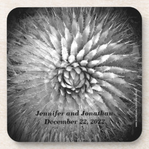 Coasters Set of 6 Agave Spikes Personalized B&W