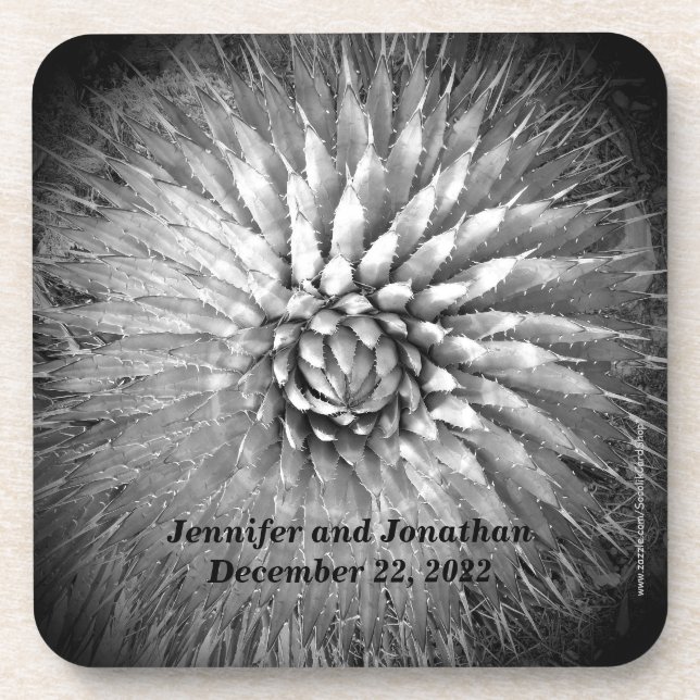 Coasters Set of 6 Agave Spikes Personalized B&W (Front)