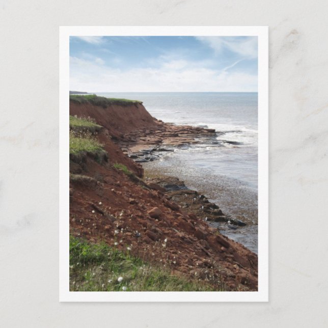 Coastline, PEI Postcard (Front)