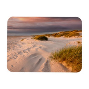 Coastline Saltum Beach, Denmark Magnet