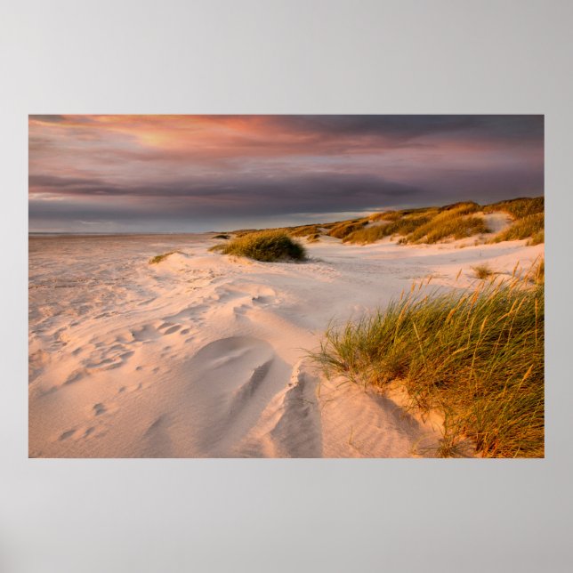 Coastline | Saltum Beach, Denmark Poster (Front)
