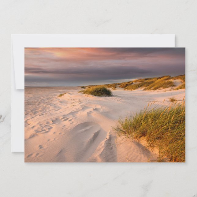 Coastline | Saltum Beach, Denmark Thank You Card (Front)