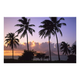 Coastline St. Kitts Photo Print