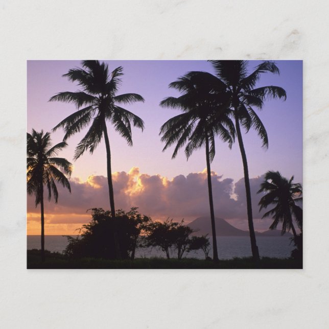 Coastline St. Kitts Postcard (Front)