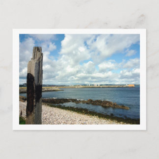 Coastline View Postcard