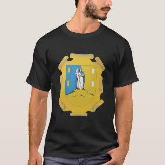 Coat Arms San Luis Potosi Official Mexico Symbol T-Shirt