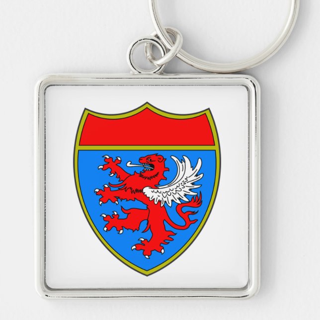 Coat of Arms Lion Shield Keychain (Front)