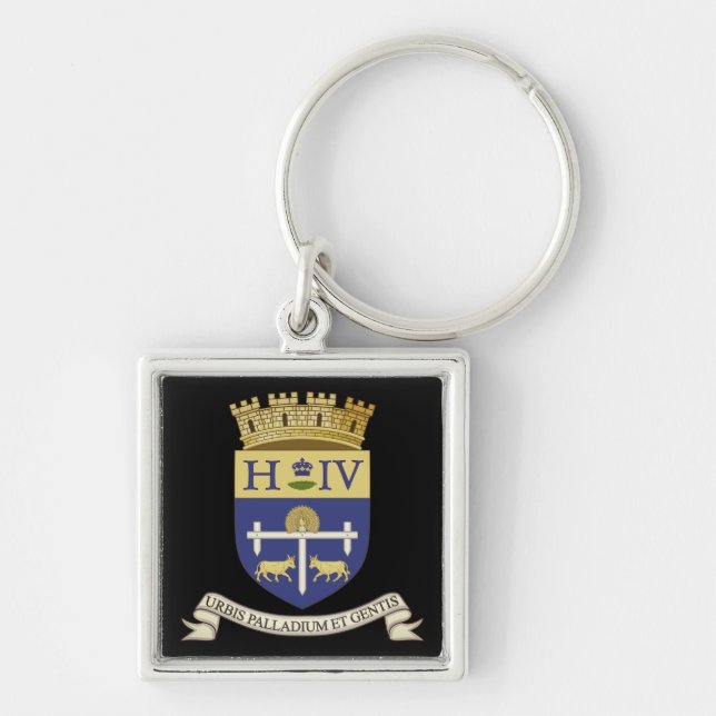 Coat of Arms of Pau, Pyrénées-Atlantiques (FRANCE) Keychain (Front)