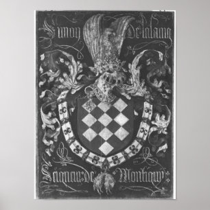 Coat of Arms of Simon de Lalaing Poster