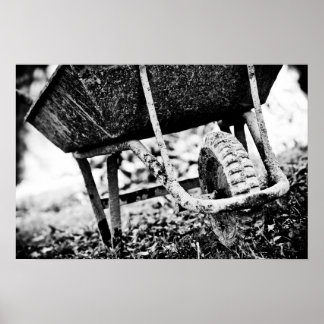 coated carrier poster