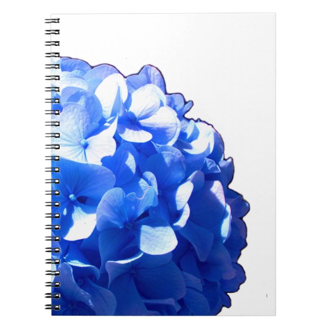 Cobalt blue floral elegant blue hydrangeas  notebook (Front)