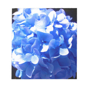 Cobalt blue floral elegant blue hydrangeas notepad