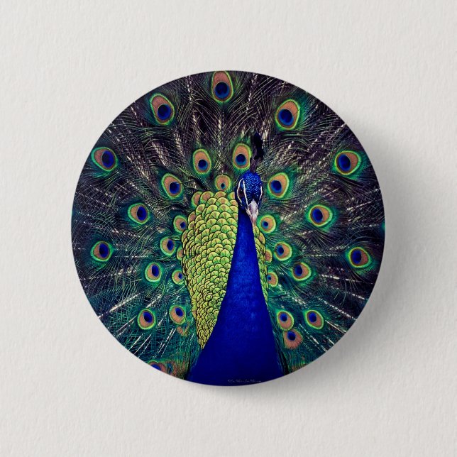 Cobalt Blue Peacock 2 Inch Round Button (Front)