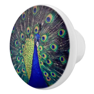 Cobalt Blue Peacock Ceramic Knob