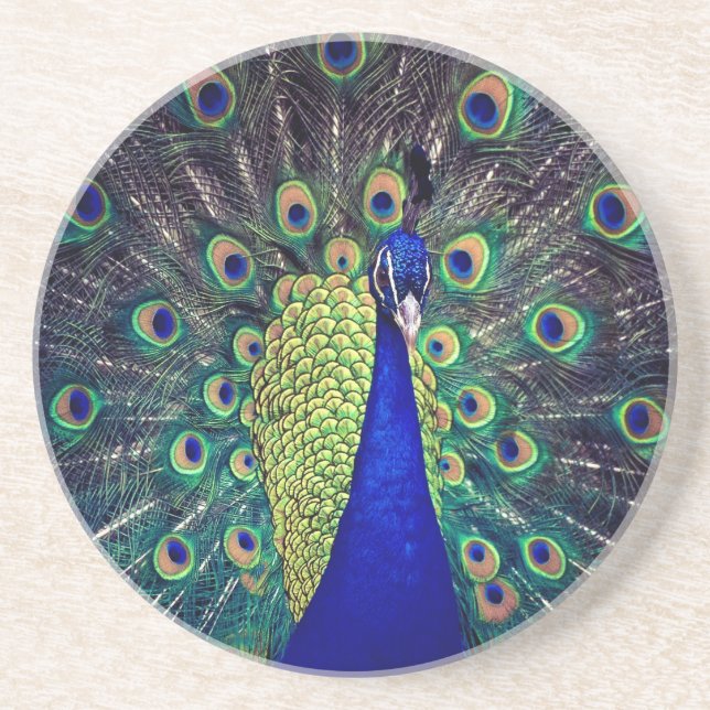 Cobalt Blue Peacock Coaster (Front)