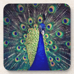 Cobalt Blue Peacock Coaster