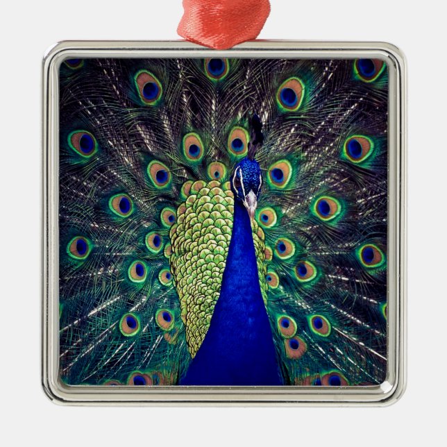 Cobalt Blue Peacock Metal Ornament (Front)