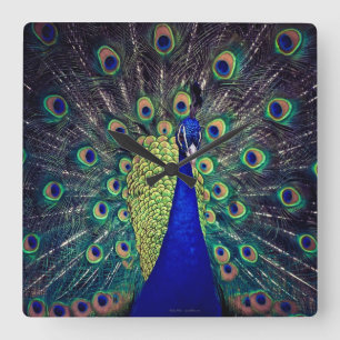 Cobalt Blue Peacock Square Wall Clock