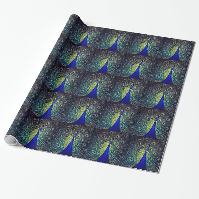 Cobalt Blue Peacock Wrapping Paper (Unrolled)