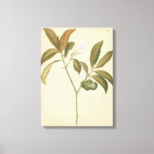 Cobalt Deco Panel I Canvas Print