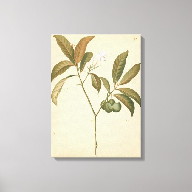 Cobalt Deco Panel I Canvas Print (Front)