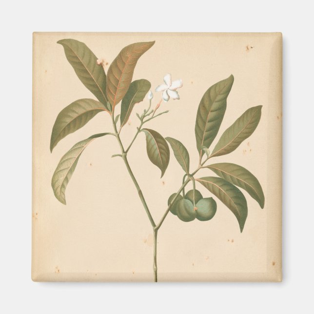 Cobalt Deco Panel I Magnet (Front)