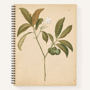 Cobalt Deco Panel I Notebook