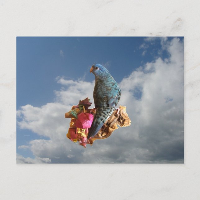 Cobalt linnie postcard (Front)