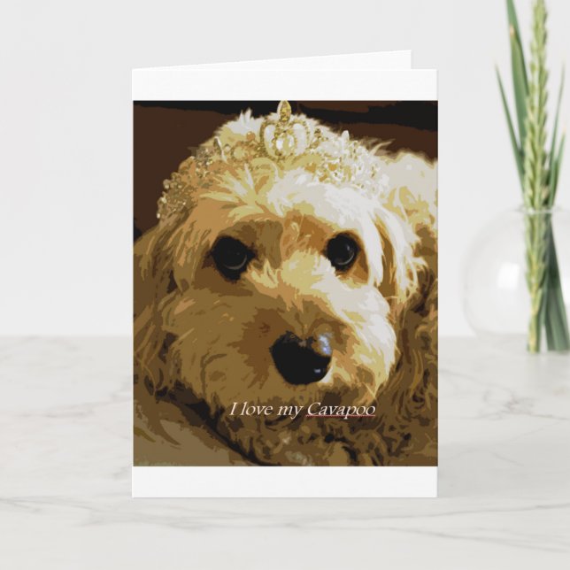 CobaltMoonDesign Cavapoo Greeting Card (Front)