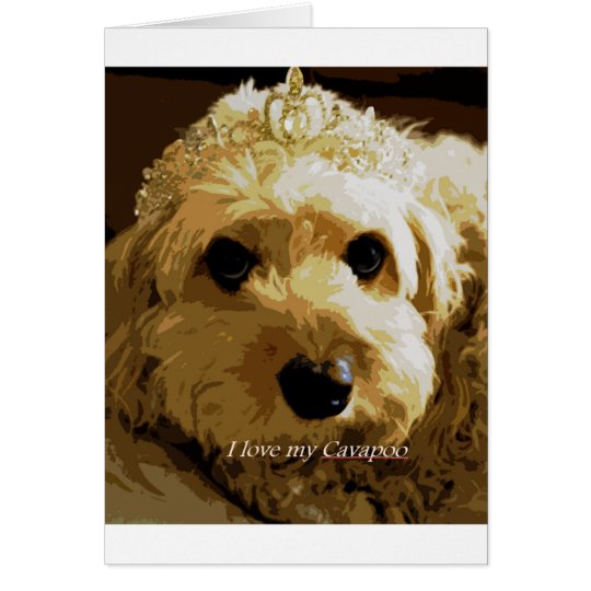 CobaltMoonDesign Cavapoo Greeting Card