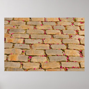 Cobblestone Walking Detail Poster