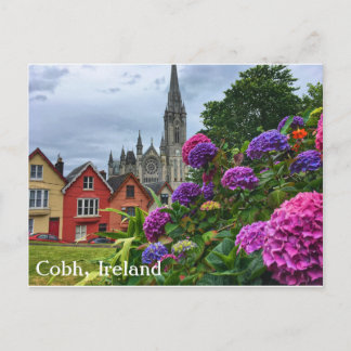 Cobh Ireland, Hydrangeas, Postcard
