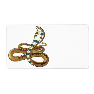 cobra