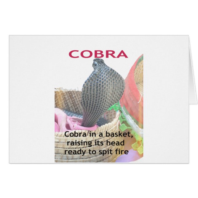 Cobra dans un panier prêt à cracher du feu (Devant horizontal)