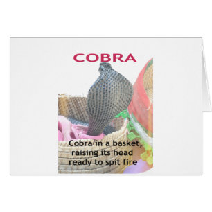Cobra in a Basket Ready to spit Fire