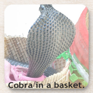 Cobra in Basket Art Print Coaster