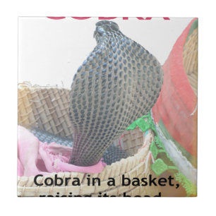 Cobra in Basket Art Print Tile