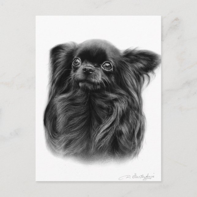 Cobra Long-Haired Chihuahua Hand Painted Portrai Postcard (Front)