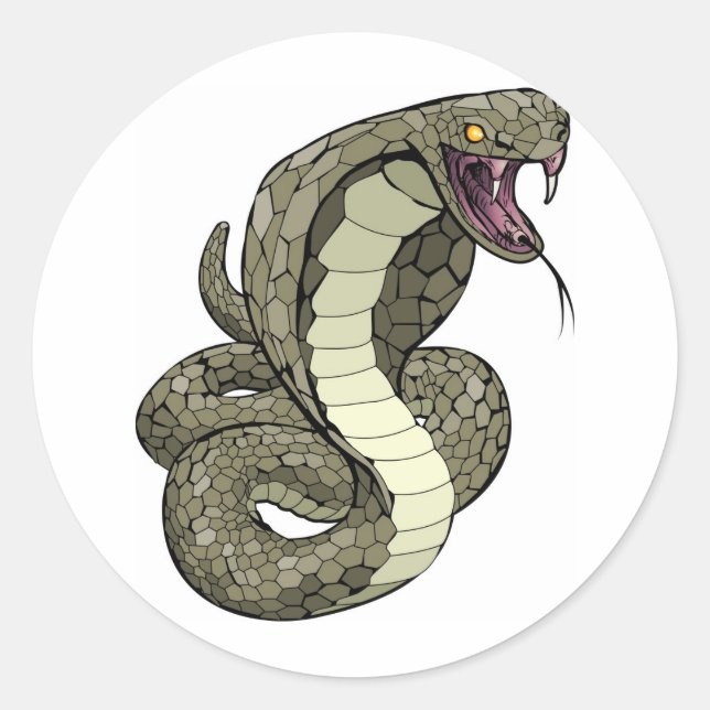 Cobra snake about to strike classic round sticker (Front)