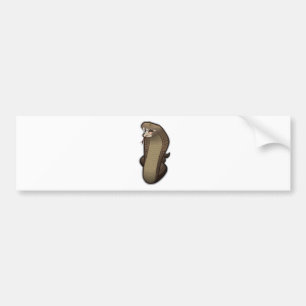 Cobra snake ready to strike bumper sticker