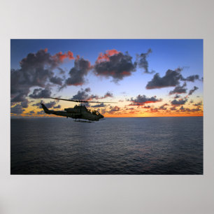 Cobra Sunset Poster