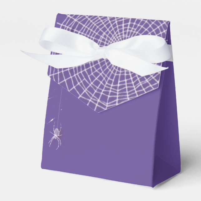 Cobwebs and White Spiders Favor Box (Front Side)