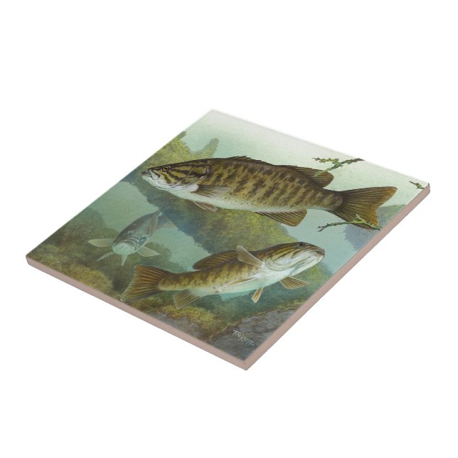 Coccibus Tile (Side)